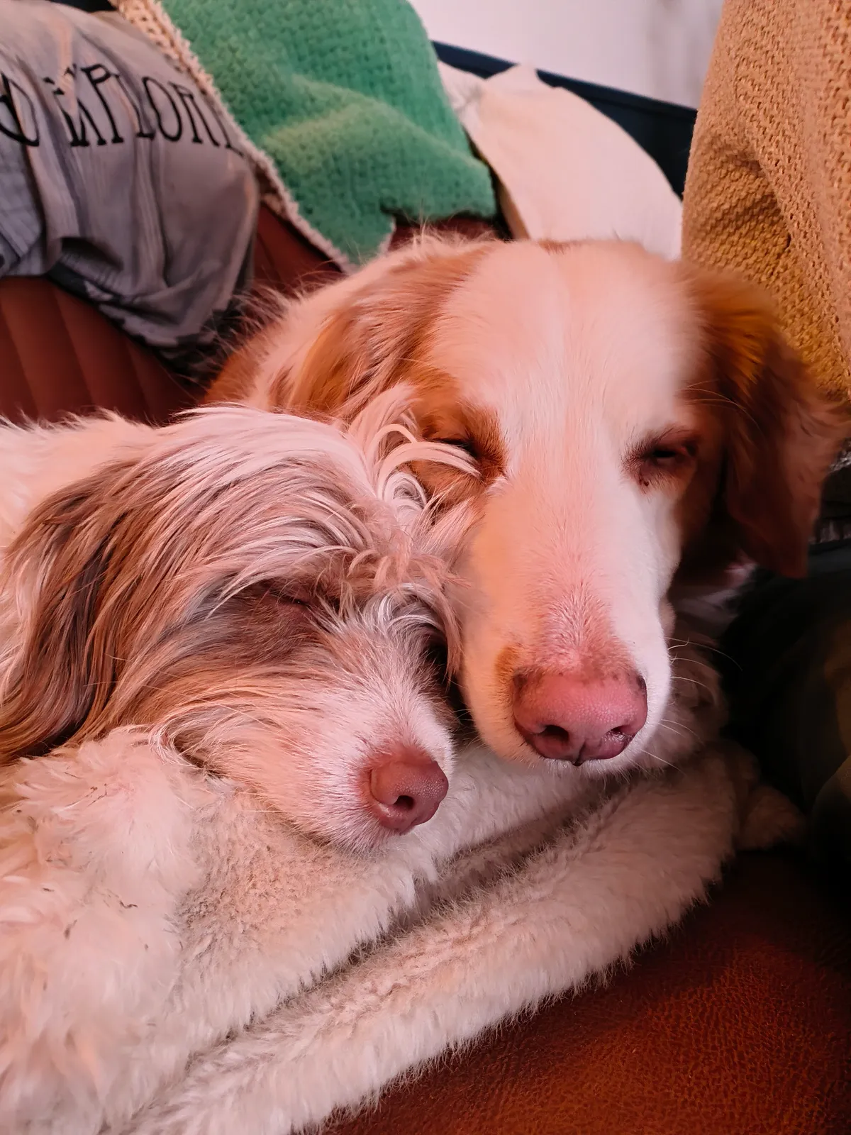 Gozer en Sissy samen slapend